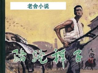 每日大赛今日91